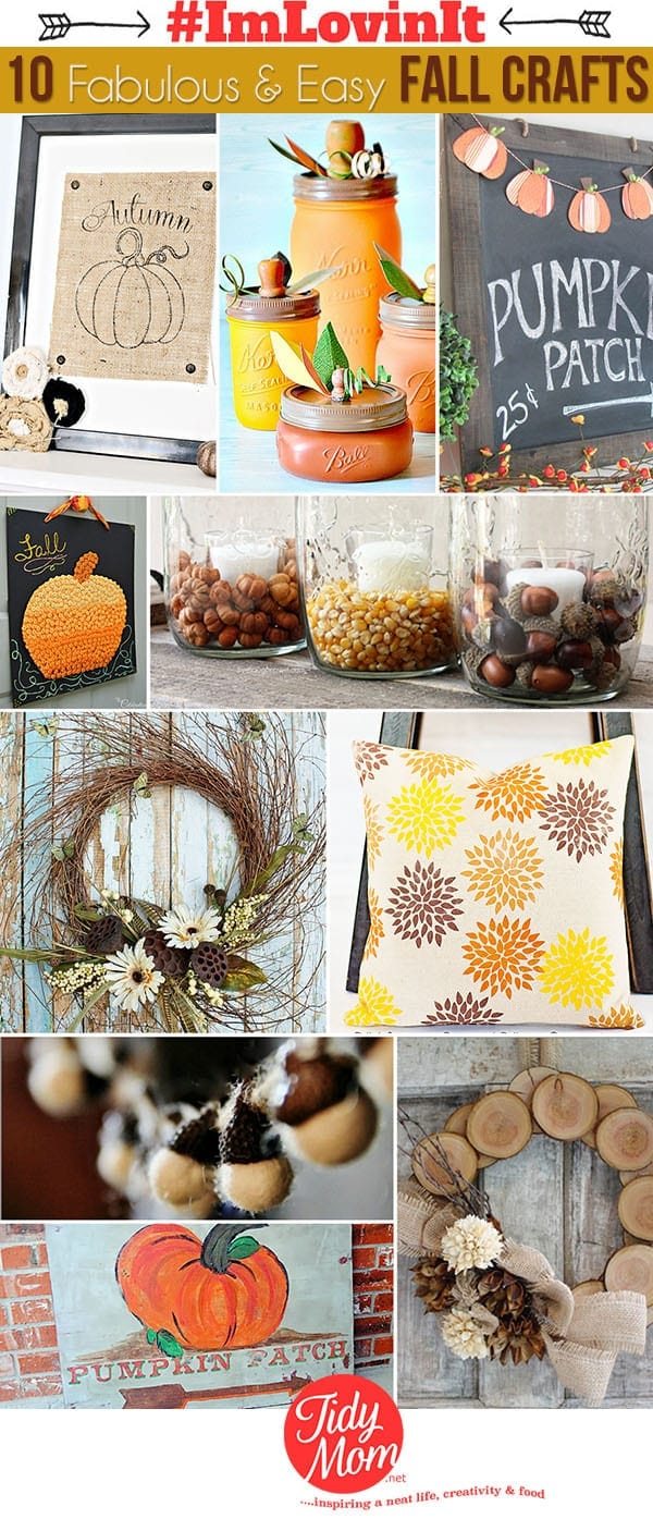 10 Fabulous & Easy Fall Craft tutorials at cetcu.com