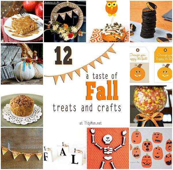 A Taste of Fall : I’m Lovin’ It Wrap Up