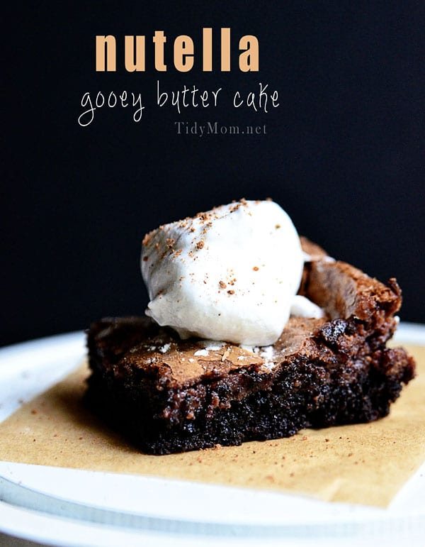 Nutella Gooey Butter Cake Recipe at cetcu.com