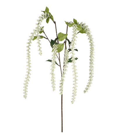 White Hanging Berry Stem