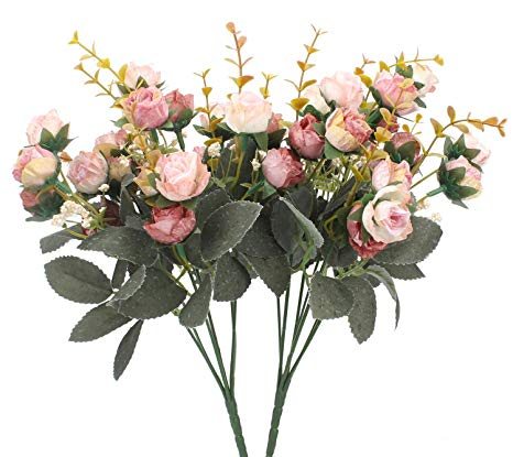 Mini Roses