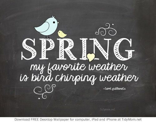 Spring April Chalkboard Wallpaper Cetcu
