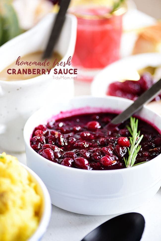 Homemade Fresh Cranberry Sauce Recipe