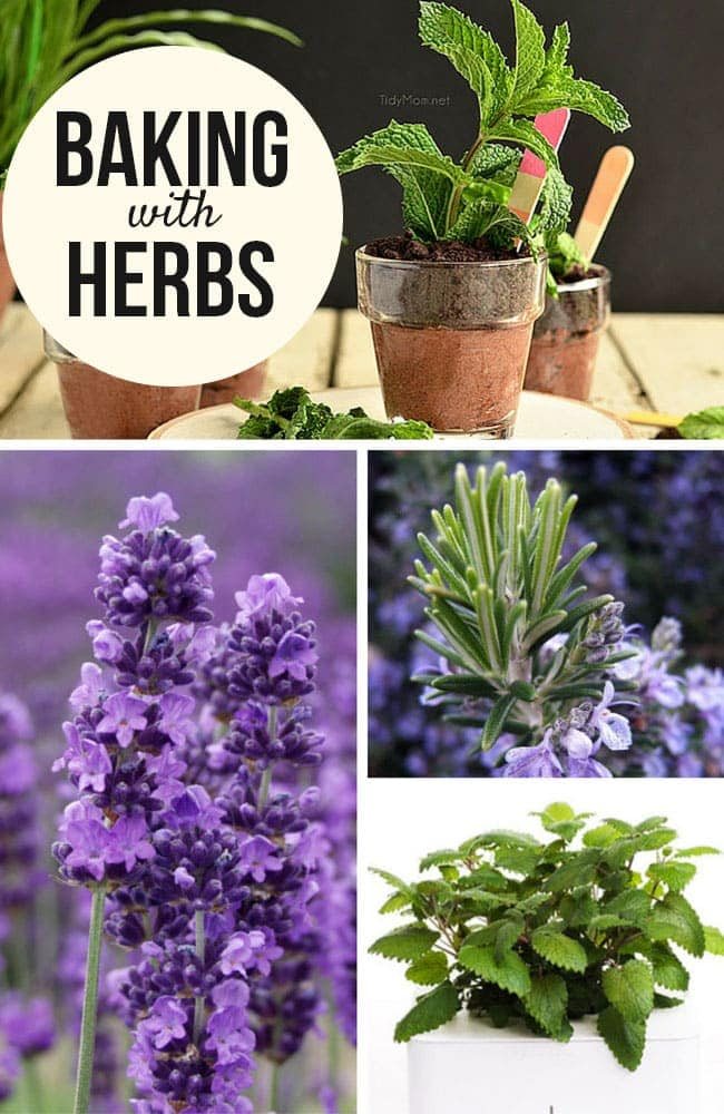 Whether picked from the garden or your local market— fresh herbs can add an unexpected and new twist to your favorite baked goods.