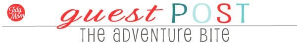 Cetcu Guest post with The Adventure-Bite