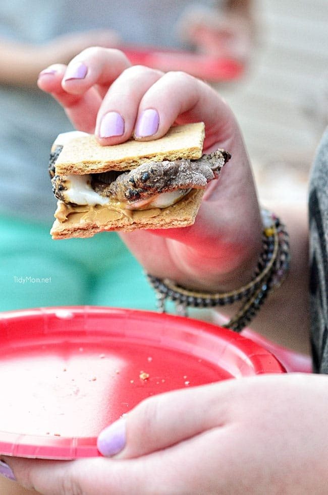Chocolate, Vanilla and Peanut Butter Gourmet S'mores at cetcu.com