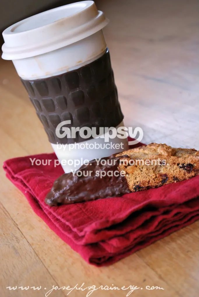Cranberry Biscotti
