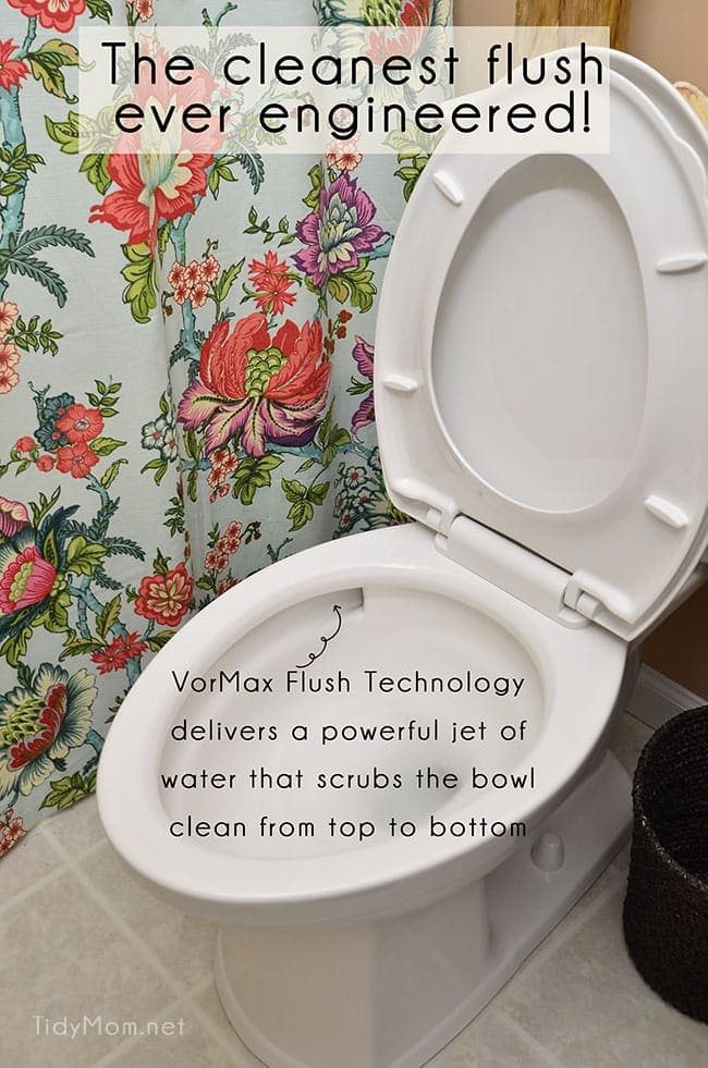Squeaky Clean Bathroom with a high-tech toilet that practically cleans itself at cetcu.com