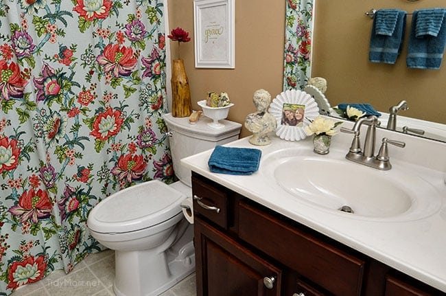 American Standard VorMax Flush Toilet and Moen Microban Protection Faucet - Stay Squeaky clean with high-tech Bathroom updates at cetcu.com