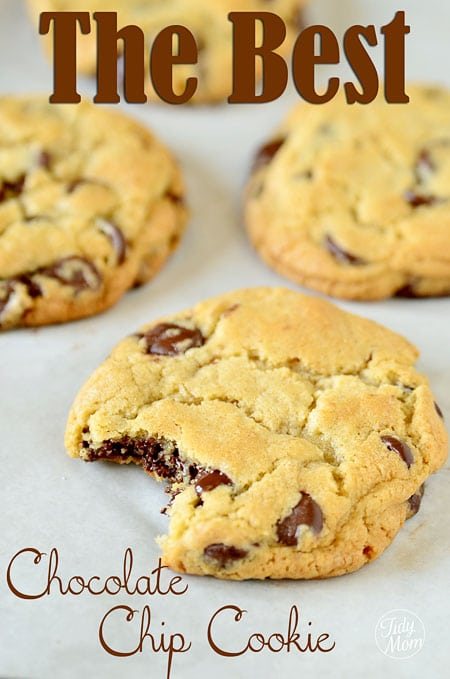 The Best Chocolate Chip Cookie Cetcu