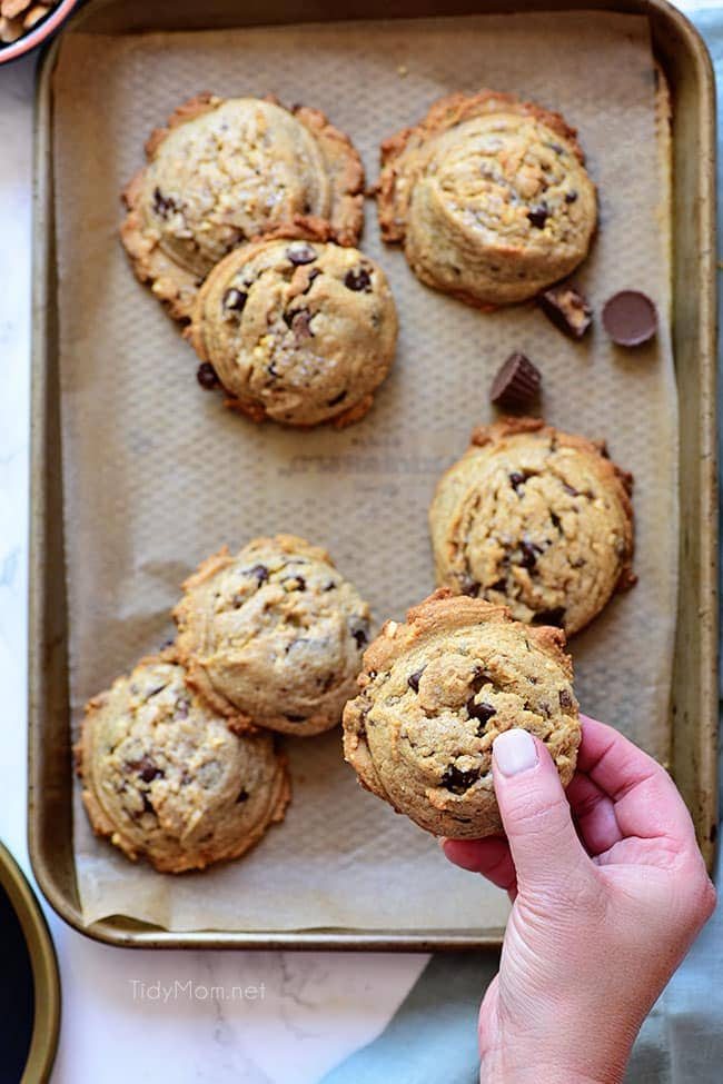 Peanut Butter Blowout Cookies are loaded with peanut butter, chocolate chips, peanut butter cups and honey roasted peanuts. Print the full recipe at cetcu.com