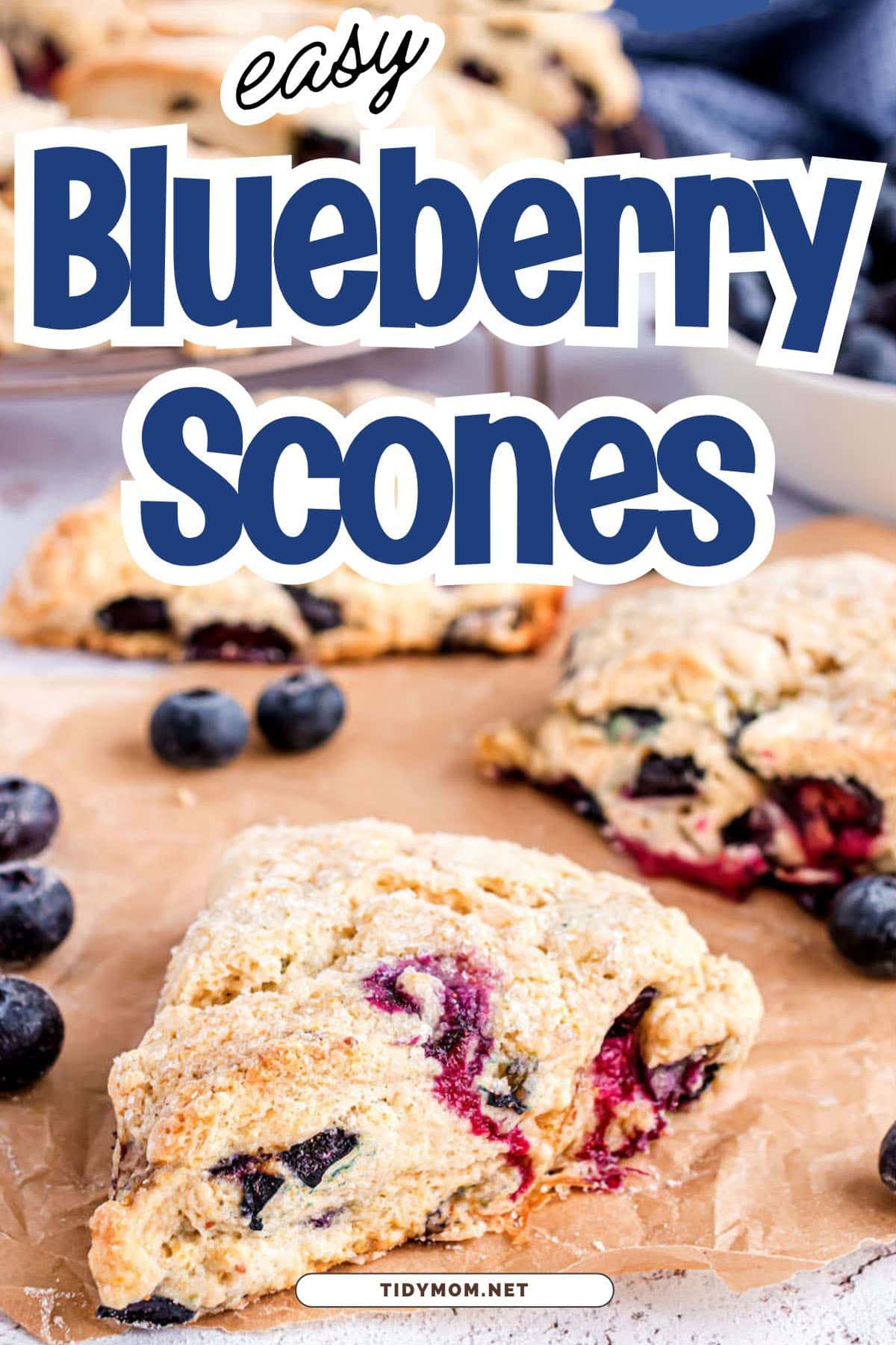 blue berry scones on a counter with fresh blueberries around