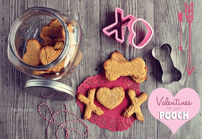 Valentine Treats for Dogs recipe at cetcu.com