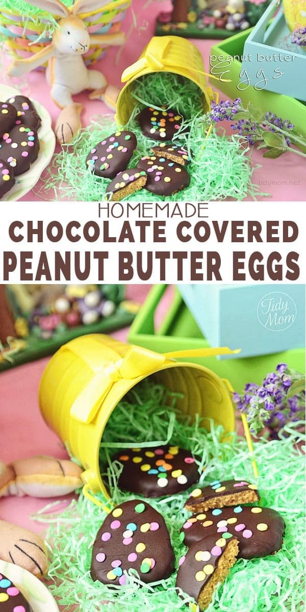 Homemade Chocolate Covered Peanut Butter Eggs (no-bake) recipe at cetcu.com