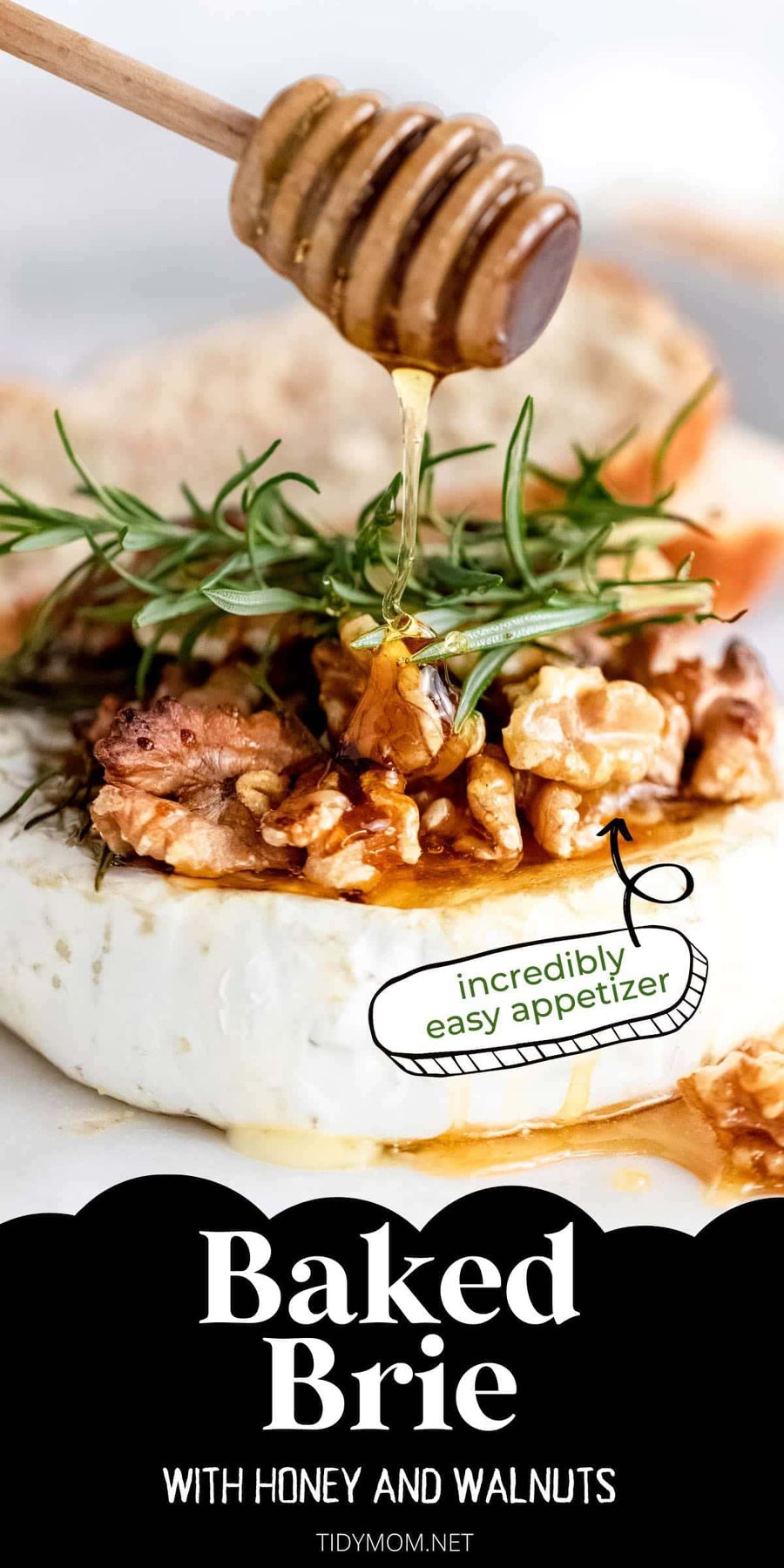 close up of baked brie with honey dipper
