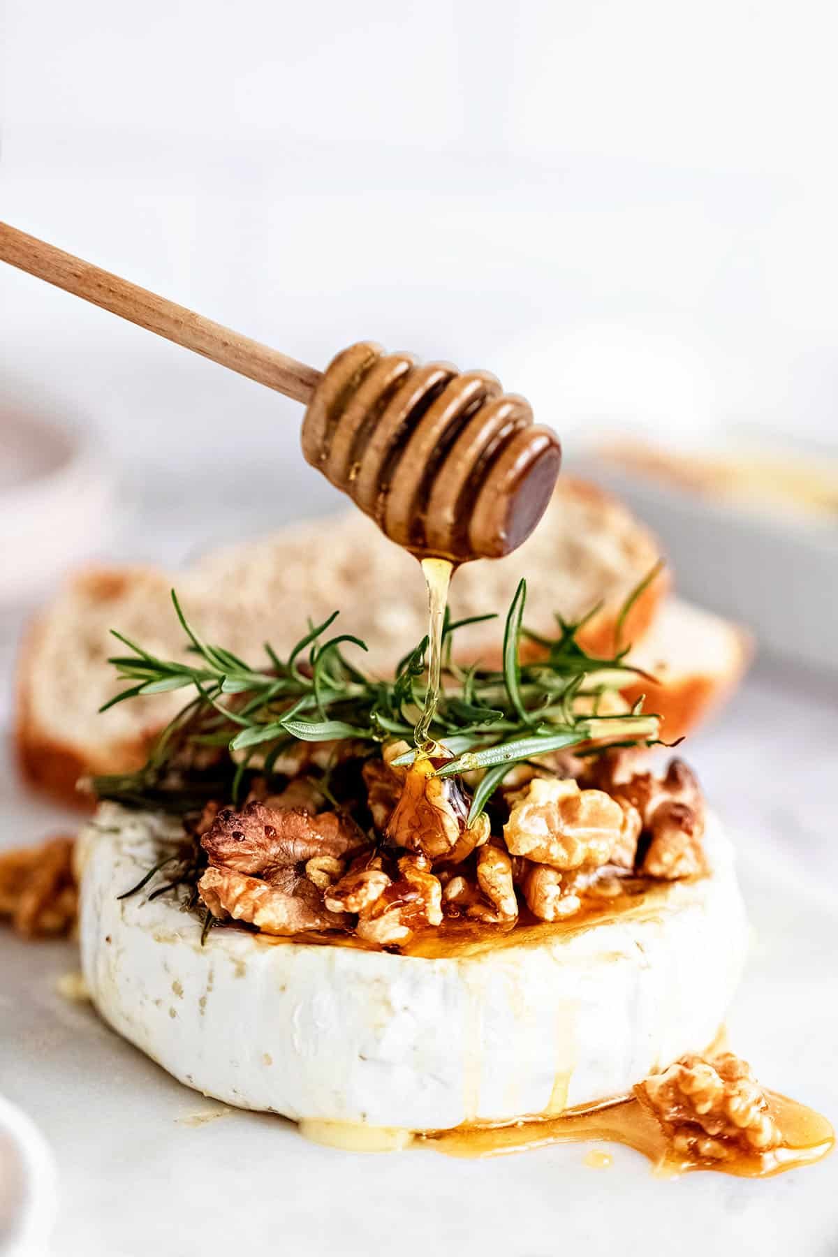 Honey And Walnut Baked Brie Appetizer Recipe