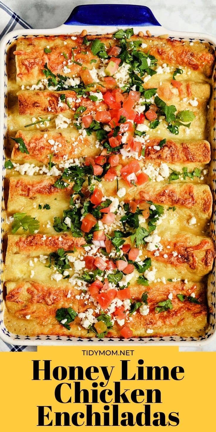 enchiladas in a casserole dish