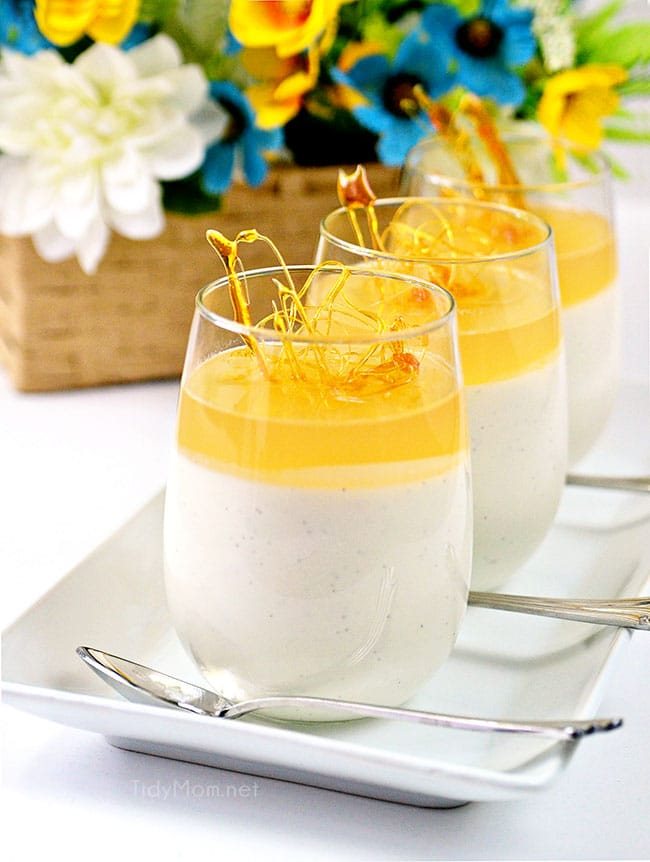 Smooth and Creamy Honey Panna Cotta Recipe