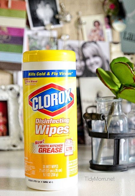 Clorox Wipes in Cetcu's Office