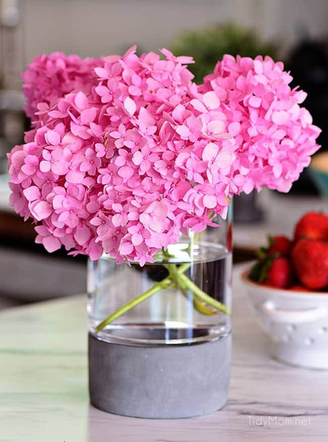 Learn essential hydrangea care tips to keep your fresh cut hydrangeas looking beautiful longer. You'll be amazed at how long you can make your flowers last! Get the details at cetcu.com