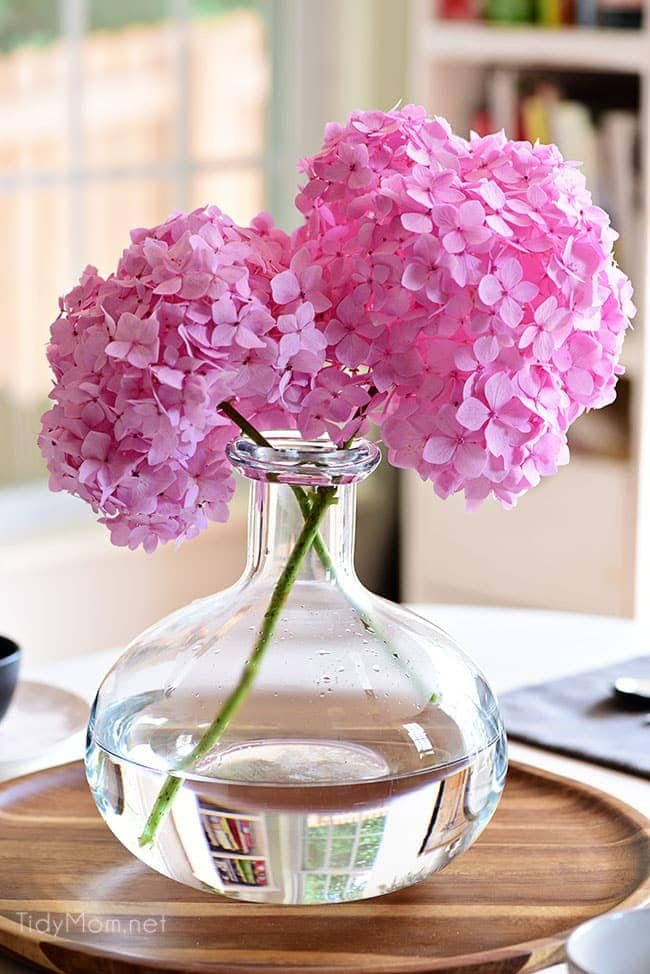Essential hydrangea care tips to keep your fresh cut hydrangeas looking beautiful longer. You'll be amazed at how long you can make your flowers last! Get the details at cetcu.com
