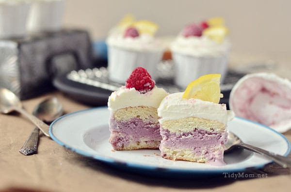 Black Raspberry & Lemon Ice Cream Cupcakes at Cetcu