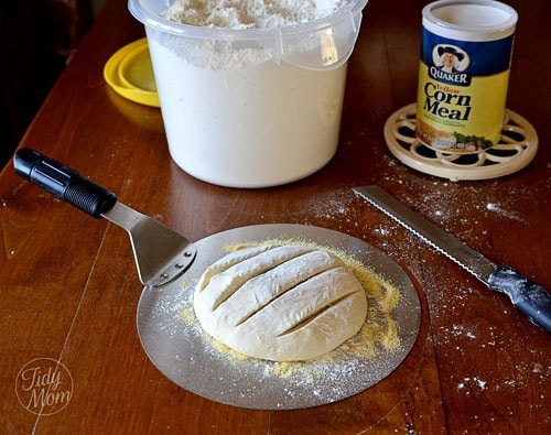 bread dough