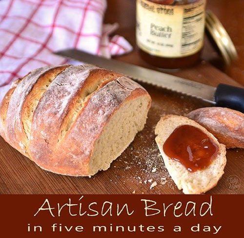 Homemade Artisan Bread {in five minutes a day}