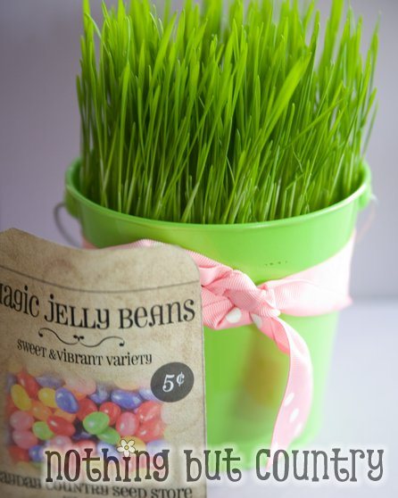 Magic Jelly Beans
