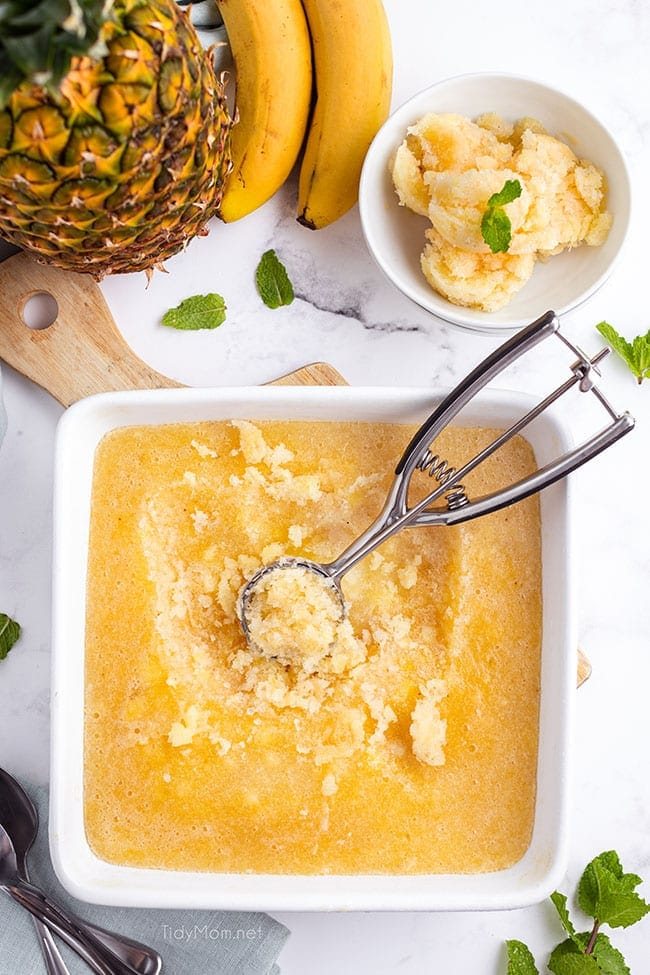 Banana Pineapple ITALIAN ICE in a square dish