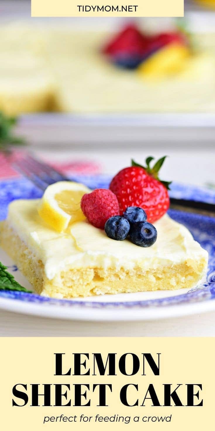 slice of cake with berries on top