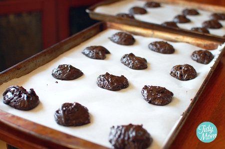 wwChoccookiedough