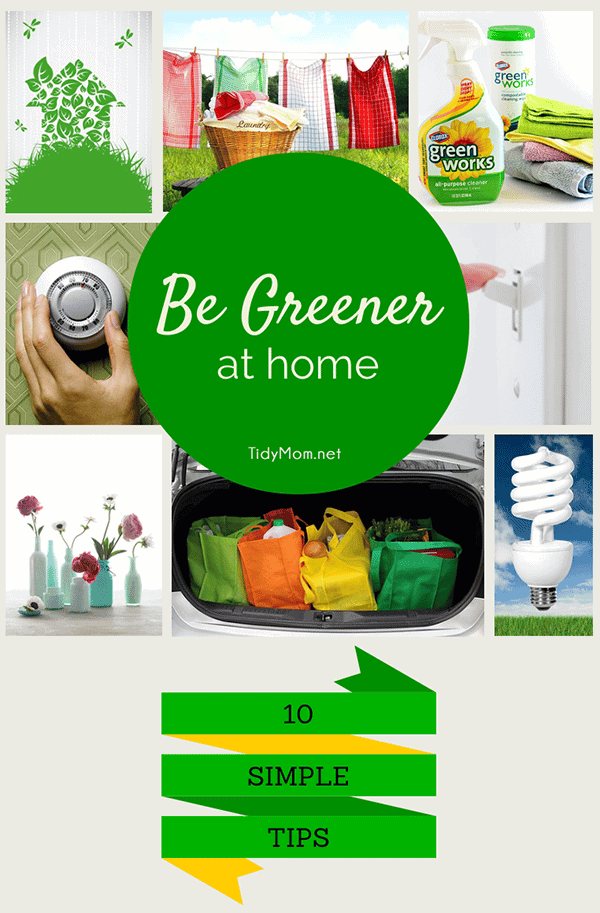 10 Simple Eco-Friendly Tips to Green Your Home. More info at cetcu.com