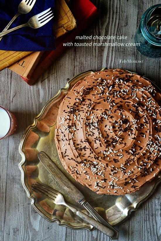 Malted Chocolate Cake with Toasted Marshmallow Cream recipe at cetcu.com