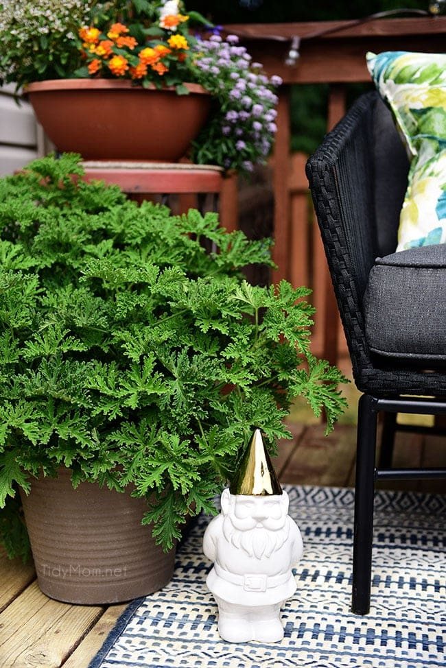 Learn How to Decorate a Small Deck or Patio and keep pesky pests away with plants. Get more details at cetcu.com