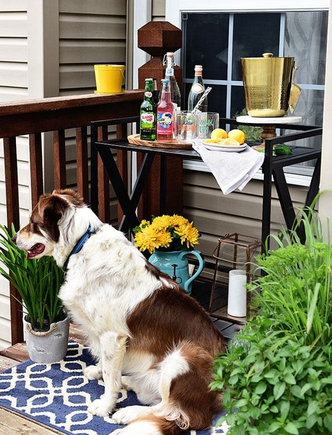 Learn How to Decorate a Small Deck or Patio and what kind of plants to use to keep mosquitos and other pesks away. Get all the details at cetcu.com