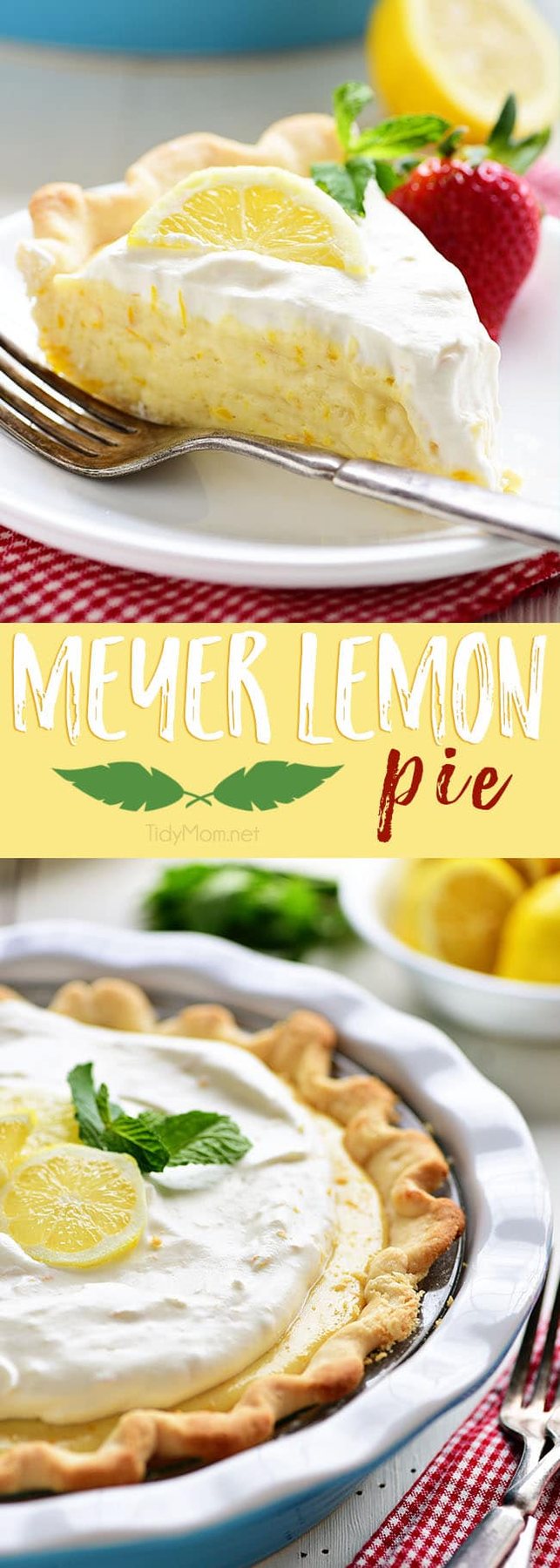 Meyer Lemon Pie photo collage