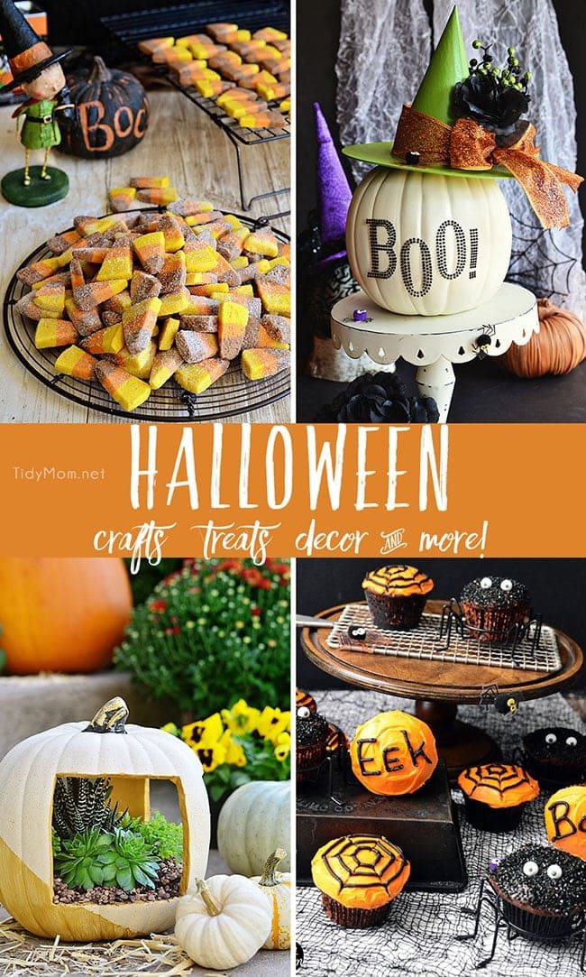 Halloween crafts, treats, recipes, decor and more at cetcu.com