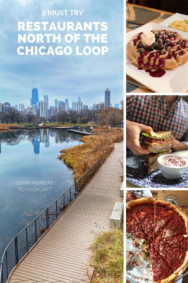 8 Must Try Restaurants North of The Chicago Loop