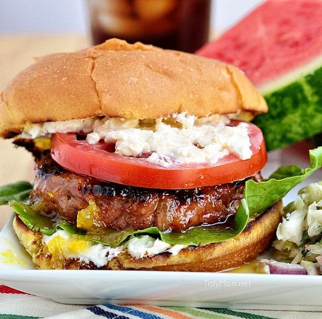 Orange and Fig Glazed Grilled Turkey Burger with Creamed Feta recipe at cetcu.com #Turketarian
