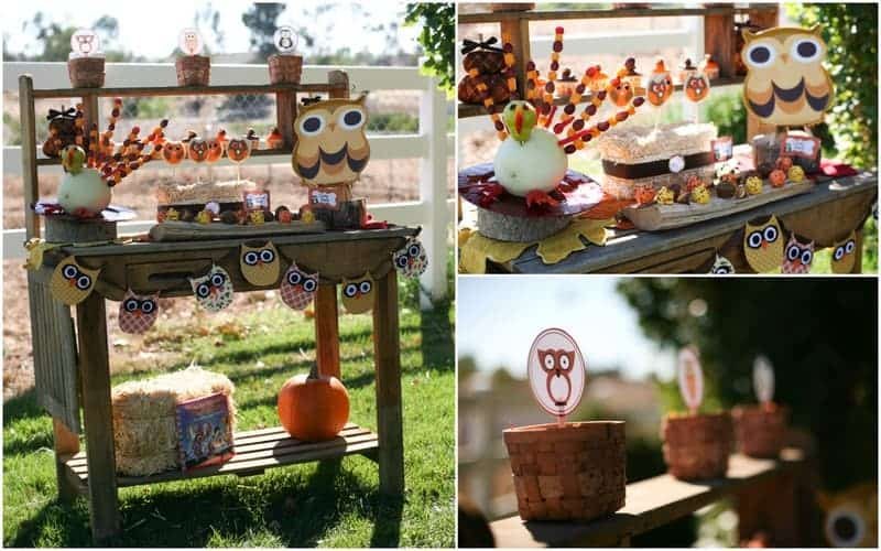 Fall Owl Party