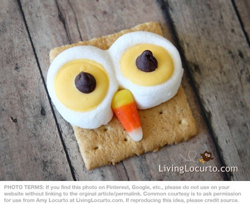 Owl S’Mores: I’m Lovin’ It