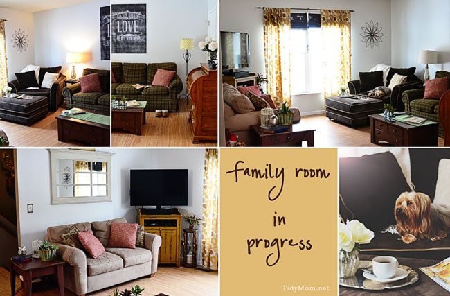 Family Room in Progress at Cetcu