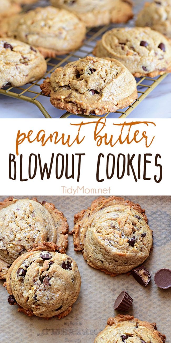 Peanut Butter Blowout Cookies are loaded with peanut butter, chocolate chips, peanut butter cups and honey roasted peanuts. Print the full recipe at cetcu.com