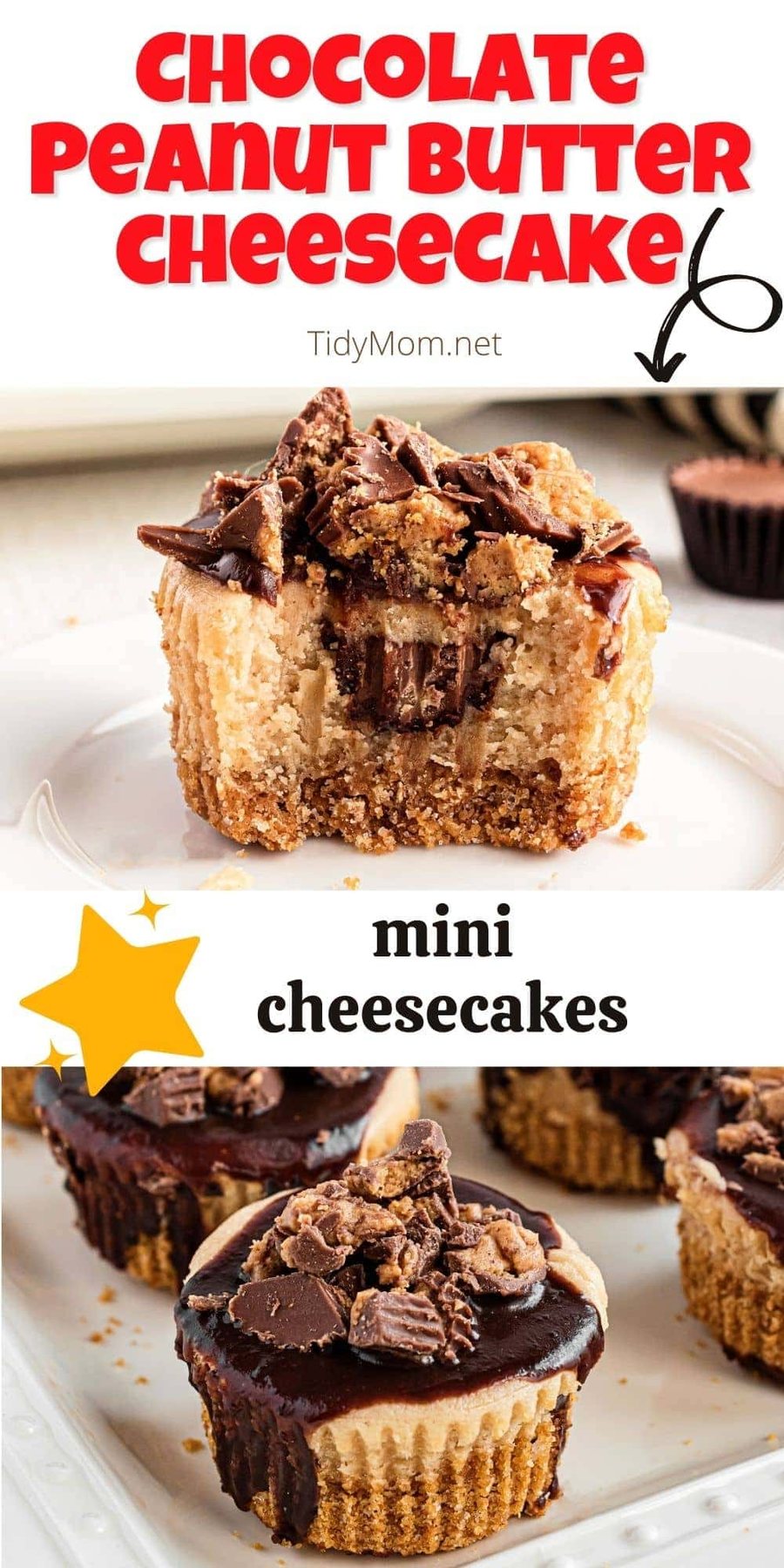 close up of peanut butter mini cheesecake