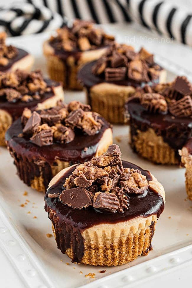 close up of mini cheesecakes