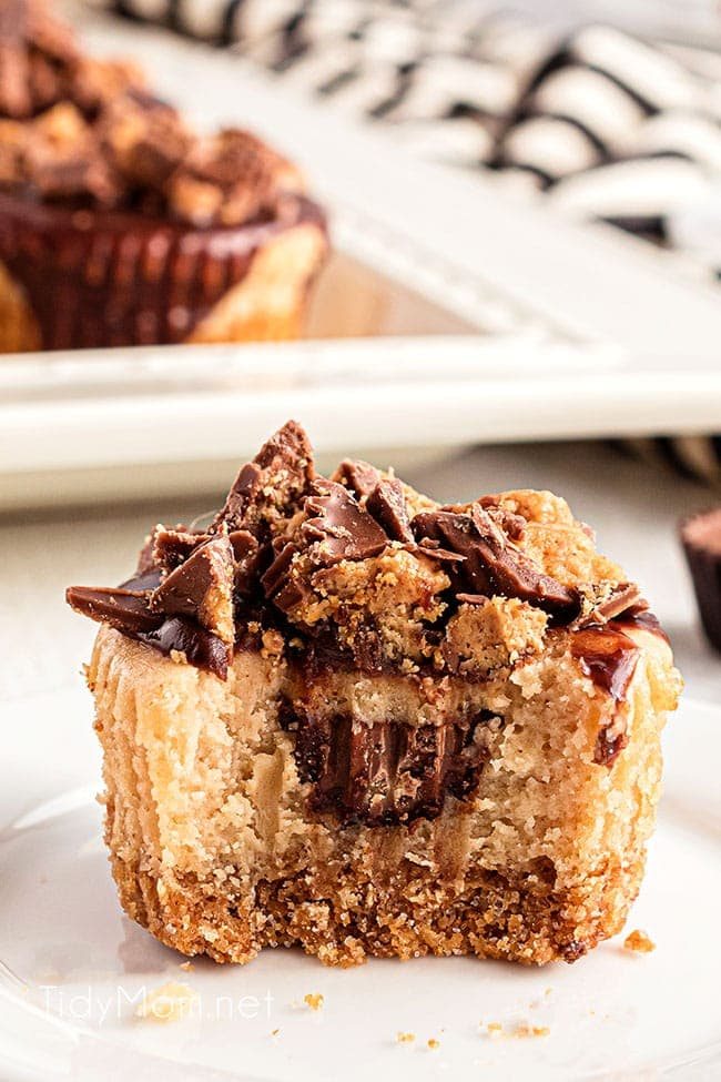 Peanut Butter Cheesecake Minis