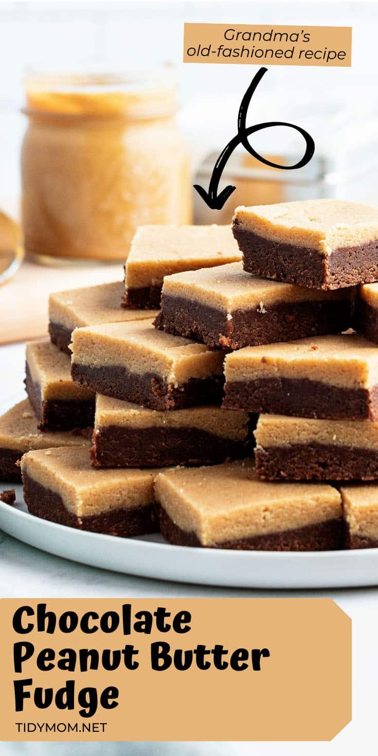 stack of fudge cut into servings