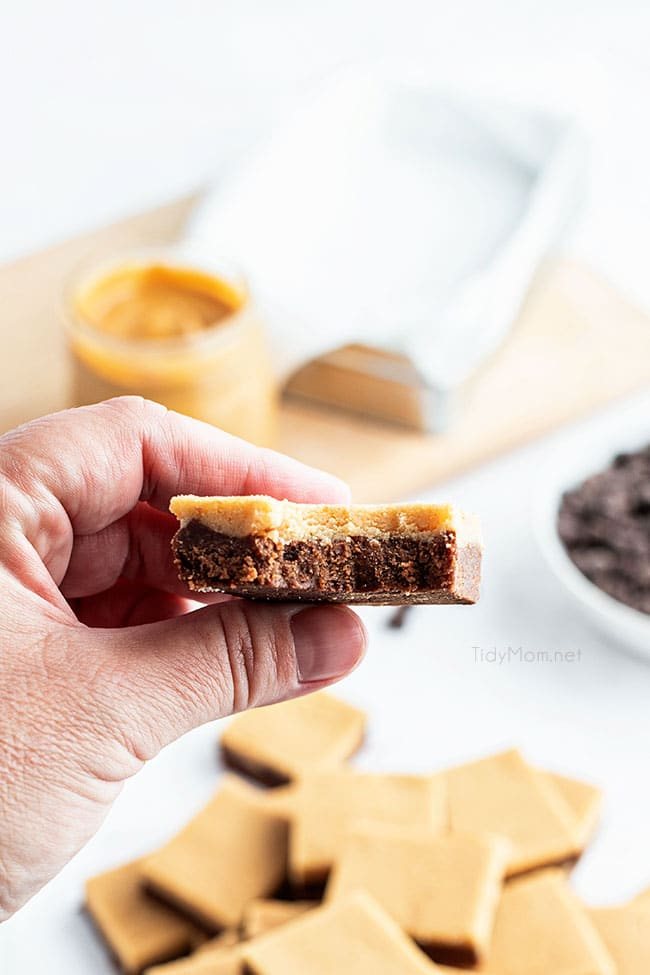 hand holding a piece of fudge with bite taken out