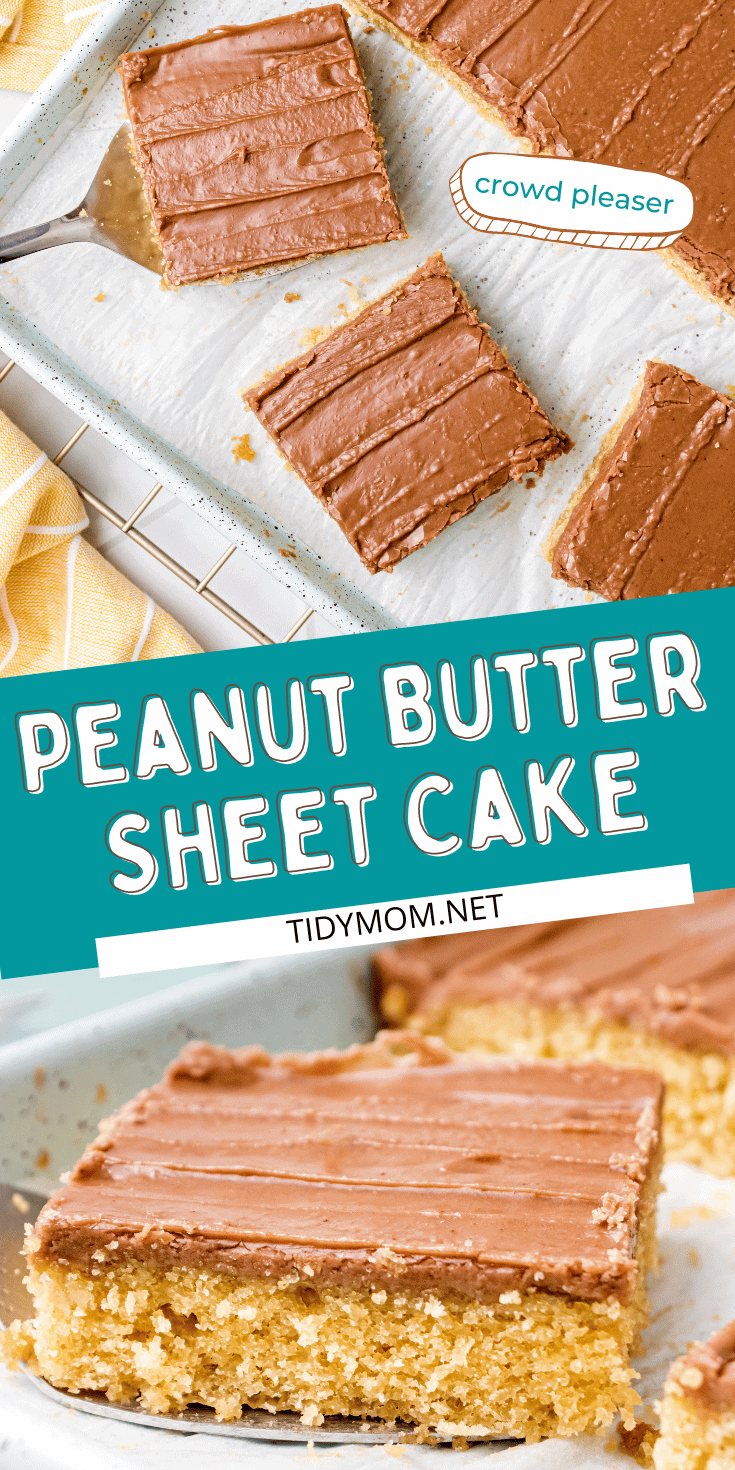 Peanut butter Texas sheet cake with chocolate frosting photo collage